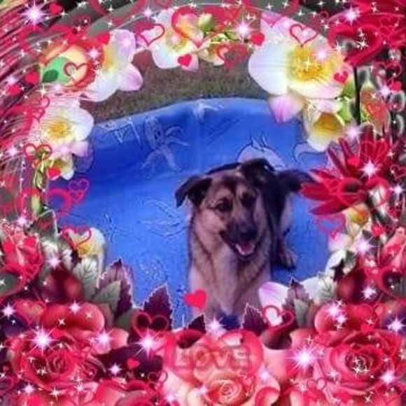 Meet your Posher, Sheila - Picture 1 of 1